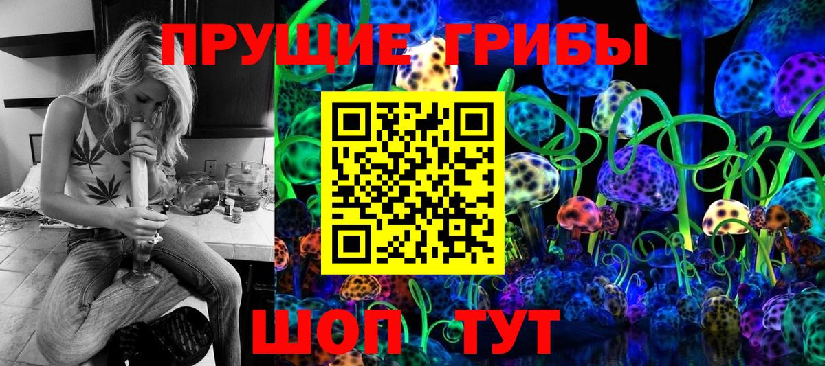 Галлюциногенные грибы Cubensis  Вход с VPN  Донской  где купить   Галлюциногенные грибы GOLDEN TEACHER 